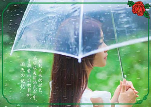 （傅清寒孟飞月）将女儿做成状元鼓后，老公悔哭了全文+后续