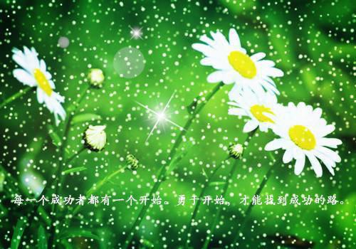 (番外)+(全文)穿成早死白月光，死对头竟成恋爱脑：全文免费+后续下载阅读_(林茉黎欢语沈逸寒)穿成早死白月光，死对头竟成恋爱脑：全文免费+后续最新章节列表_笔趣阁（林茉黎欢语沈逸寒）