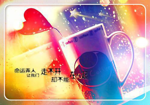 朝云绚丽一瞬：在线谢青临宋初吟推荐完本_已完结朝云绚丽一瞬：在线（谢青临宋初吟）