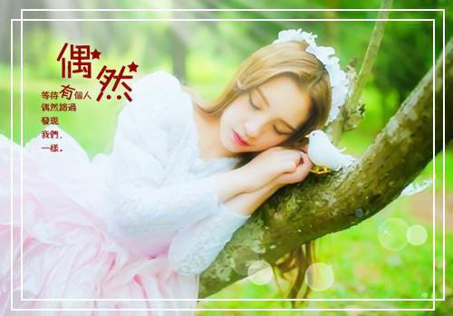 全文小说君赫小昭免费目录免费阅读