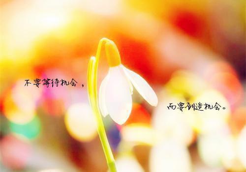 最新章节女友装穷送我学乖，我反手曝光她恶行（苏雨袁章）_女友装穷送我学乖，我反手曝光她恶行苏雨袁章最新章节