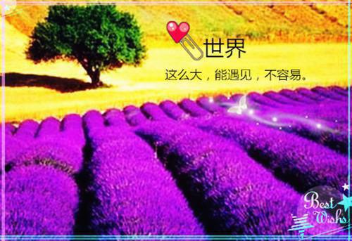 完结文太子爷禁欲？龙凤胎哪儿来的最新章节列表_完结文太子爷禁欲？龙凤胎哪儿来的全文免费阅读（姜心言傅越辞）