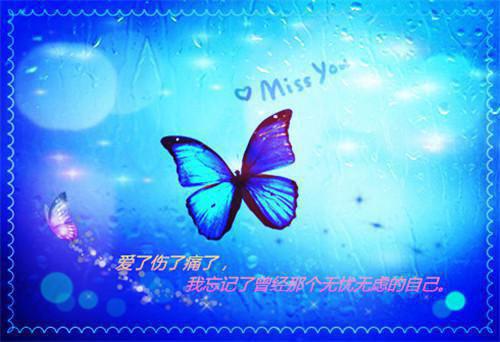 重生回到青梅污蔑我这天，我不忍了最新章节列表_重生回到青梅污蔑我这天，我不忍了全文免费阅读(苏柔赵星)