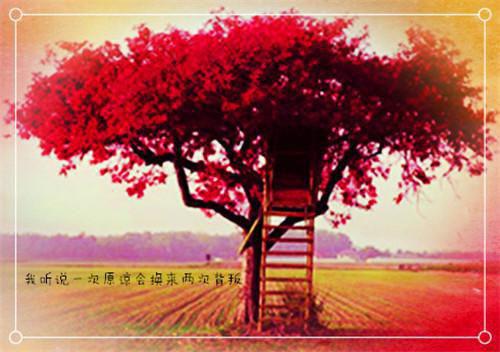 渣夫假死养外室？我让你们坟头草再高两丈最新章节列表_渣夫假死养外室？我让你们坟头草再高两丈全文免费阅读(云暮卿宋秉然)