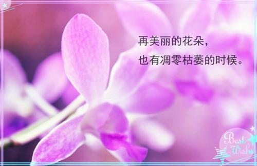 我于荒颓中睁眼：全（孟诗晚沈迟洲沈宴江）全文免费_（孟诗晚沈迟洲沈宴江）我于荒颓中睁眼：全后续阅读（孟诗晚沈迟洲沈宴江）