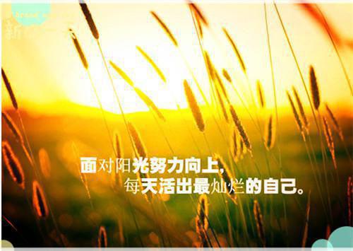小说落魄迷离宋小姐,辛甜,顾巡完结版全文免费阅读