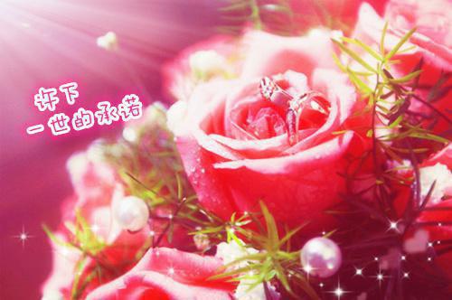 回眸已成戏中人：续集整本阅读（陆欣瑶盛灼年）