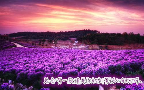 前夫骂我是神棍，我反手夺他百亿家产（谢景辞谢瑶）已完结，前夫骂我是神棍，我反手夺他百亿家产已完结