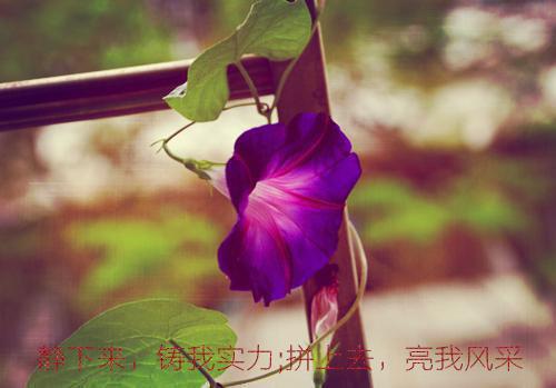 周晓雯周子翰（逐光八卦:滚烫多嘴）全文免费周晓雯周子翰读无弹窗大结局_(周晓雯周子翰逐光八卦:滚烫多嘴小说免费周晓雯周子翰读)最新章节列表_笔趣阁（周晓雯周子翰）