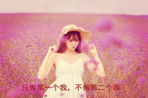 若我沉溺于你的渊陶屿澈：后续+最新小说（沈若汐陶屿澈）全文阅读