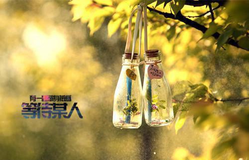 陆司沉沐星澜+结局+番外已完结_陆司沉沐星澜+结局+番外最新章节