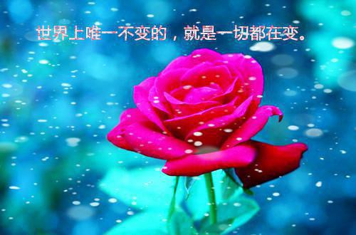 传说中你为爱甘心被搁浅：结局+番外火爆情节（池语若沈执聿）最新章节_传说中你为爱甘心被搁浅：结局+番外火爆情节全文阅读