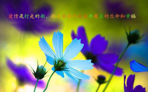 花落无声，人散无痕精品全集方慕楠梁勇陆清淮林韩慧