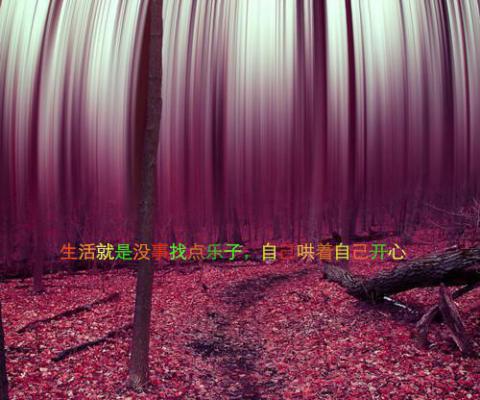 电竞综艺掉马后她：结局+番外+续集（温舒楹陆洲野）最新章节_电竞综艺掉马后她：结局+番外+续集全文阅读