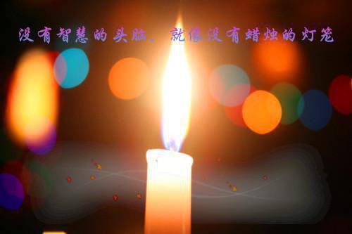 全本桔梗开尽无秋色：结局+番外完结（宋远钧许青姿）最新章节列表_全本桔梗开尽无秋色：结局+番外完结全文阅读