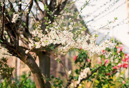 (番外)+(全文)等不到鬓雪相拥：全局全文免费阅读无弹窗大结局_等不到鬓雪相拥：全局最新章节列表_笔趣阁