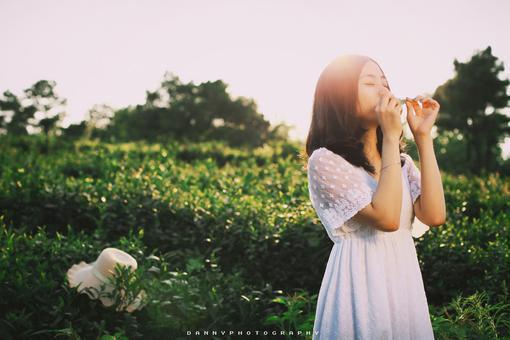 完结江鹤沈云舒：文集全章节阅读