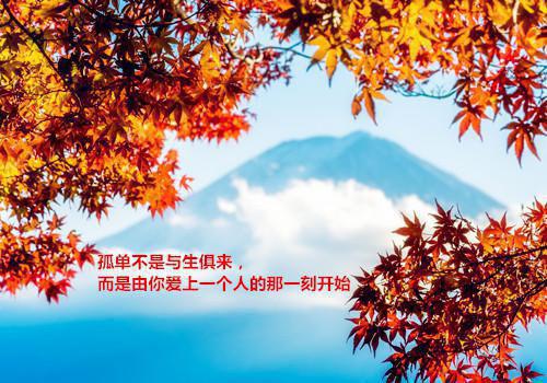 春雨落尽不相思：结局+番外（春雨落尽不相思沈暖陆闻朝：结局+番外）完结阅读无弹窗大结局_(沈暖陆闻朝)最新章节列表_笔趣阁（春雨落尽不相思：结局+番外）