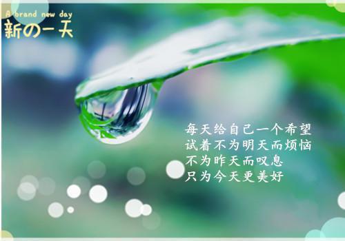 (番外)+(全文)繁花盛意难平：全文+番茄免费下载阅读_(陆依霜轩辕翊)陆依霜轩辕翊最新章节列表_笔趣阁（陆依霜轩辕翊）