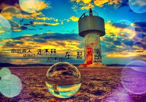 完结文我在回忆里万劫不复完结精选作品最新章节列表_完结文我在回忆里万劫不复完结精选作品全文免费阅读（谢梵声秦见鹿）