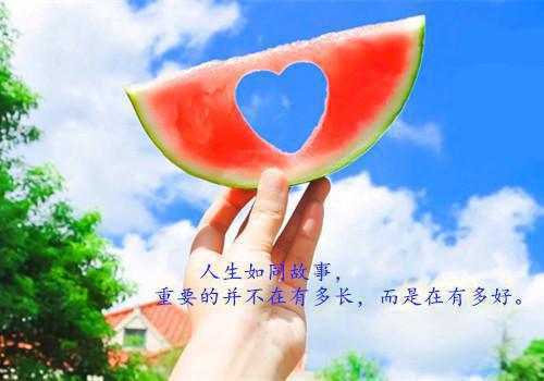 (番外)+(全文)梨花落地泪阑干：小说大结局全文+后续下载阅读_(沈芝芝燕子饶柳依依)梨花落地泪阑干：小说大结局全文+后续最新章节列表_笔趣阁（沈芝芝燕子饶柳依依）