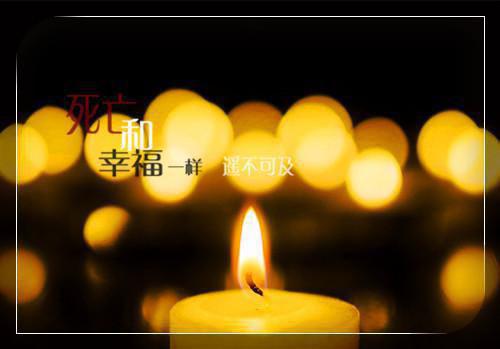 大姐死后，读取记忆的弟妹们疯了：全文小说林晴林鹤林瑶小说在线阅读