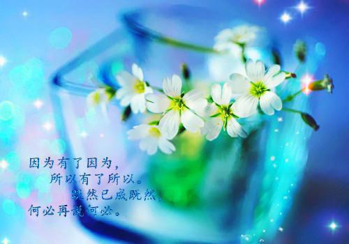 穿书七零，我被最野糙汉宠上天徐绒陆晔推荐完本_已完结穿书七零，我被最野糙汉宠上天（徐绒陆晔）