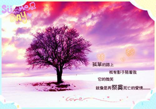 爱恨无边，情字终诀别+结局+番外实力派全文小说顾念小说在线阅读
