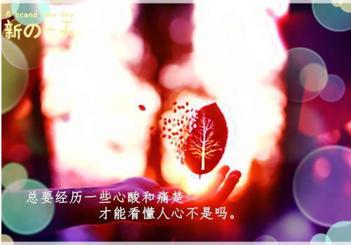 小说农家福崽有空间，全村抢着来娇宠by水月聆风大结局免费阅读