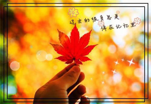 (番外)+(全文)一梦重生，与君长念：++番外_(一梦重生，与君长念：++番外)江妄舟宋枝雪最新章节列表_笔趣阁（一梦重生，与君长念：++番外）