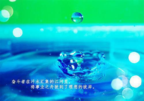 烟火照夜白：结局+番外,温南枝沈清宴新鲜出炉最新章节_烟火照夜白：结局+番外,温南枝沈清宴新鲜出炉全文阅读