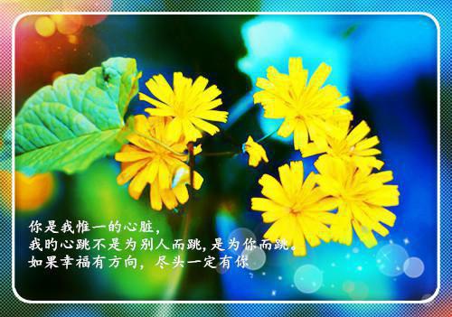 刘宇,张虎工业摸底：摸出负债百亿大学生小说全章节阅读