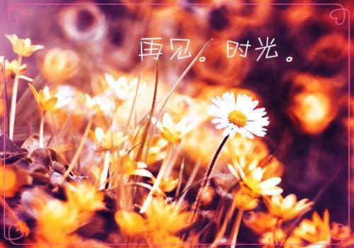 完结文我成了机器人后，他成了病娇最新章节列表_完结文我成了机器人后，他成了病娇全文免费阅读（冉冉宋培）