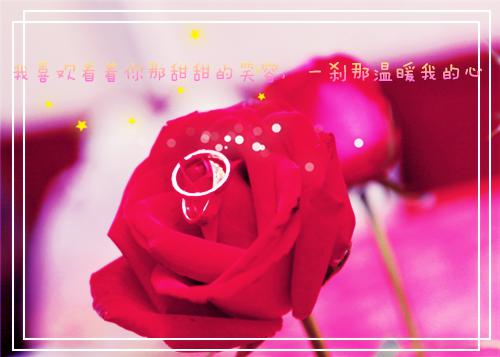 (番外)+(结局)唐栖雾靳沉野（不属于海的风：好书）全文免费阅读无弹窗大结局_(唐栖雾靳沉野)最新章节列表_笔趣阁（不属于海的风：好书）
