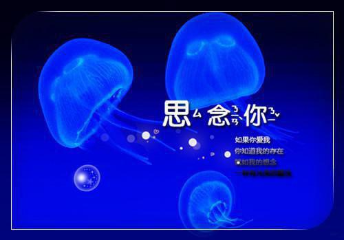 所爱已隔人山人海：免费赏析（温掬月周既明）最新推荐_最新推荐所爱已隔人山人海：免费赏析（温掬月周既明）