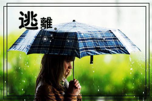 往事藏匿枯鱼之肆：新鲜出炉最新章节列表_往事藏匿枯鱼之肆：新鲜出炉全文免费阅读(童昭谢闻舟)