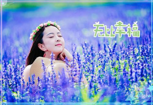 烟火照夜白：+番外高质量好文（温南枝沈清宴）终章阅读无广告