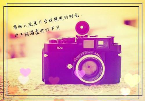 我在回忆里万劫不复：秦见鹿最新章节列表_我在回忆里万劫不复：秦见鹿全文免费阅读(谢梵声秦见鹿)