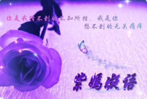 七年后重，逢高岭之花跪求当情夫：最新章节列表_七年后重，逢高岭之花跪求当情夫：全文免费阅读(倪雾裴淮聿)