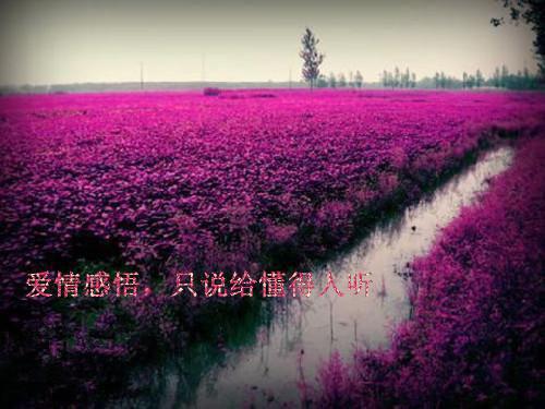 我都成仙了，你还敢来挑衅我？小说最新章节_我都成仙了，你还敢来挑衅我？免费阅读