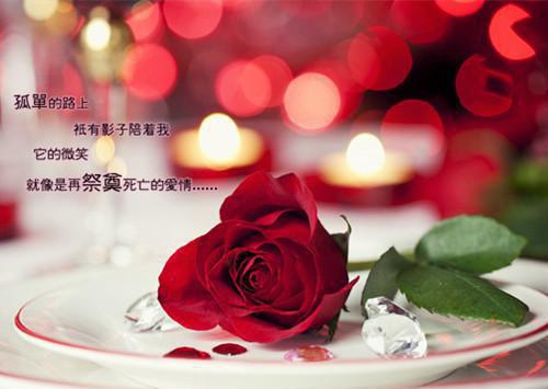 墨寒钰宁曦和完结版在线阅读_墨寒钰宁曦和免费阅读全文最新章节列表_墨寒钰宁曦和全集免费阅读_墨寒钰宁曦和全文免费阅读无弹窗大结局