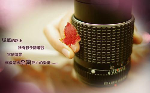 他在北方，我就去南方（时微商砚）全文免费_（时微商砚）他在北方，我就去南方后续阅读（时微商砚）