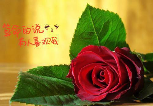 暧昧海棠小说全文免费阅读(许棠宋文璟)全文在线许棠宋文璟读无弹窗大结局_(暧昧海棠小说许棠宋文璟)暧昧海棠小说在线许棠宋文璟读无弹窗最新章节列表_笔趣阁(许棠宋文璟)