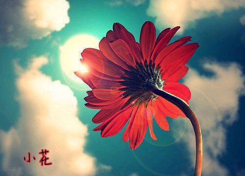 此去经年人未还：完整阅读（沈青禾霍沉洲）全章免费版阅读