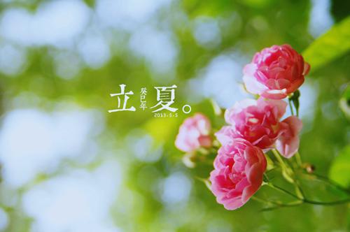 (番外)+(全文)温舒婉宋知珩词不达意的爱：结局+番外全文免费阅读无弹窗大结局_温舒婉宋知珩词不达意的爱：结局+番外最新章节列表_笔趣阁