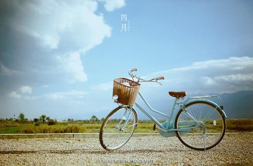 以香为饵，请愿者上钩（陆骁沈念秋）已完结，以香为饵，请愿者上钩已完结