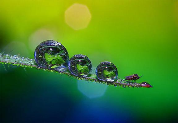 名义：我祁同伟的爷爷不是农民全文阅读_名义：我祁同伟的爷爷不是农民全文免费阅读