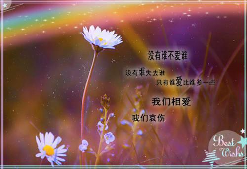 全文浏览人面桃花长相忆全局+结局（阮雾梨闻砚辞）_人面桃花长相忆全局+结局（阮雾梨闻砚辞）全文结局