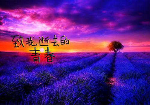 全本旷野里的星：（徐枳烟傅延）最新章节列表_全本旷野里的星：全文阅读