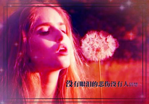 (番外)+(结局)桑宁张一政（桑宁张一政）全文免费阅读无弹窗大结局_(桑宁张一政)最新章节列表_笔趣阁（桑宁张一政）